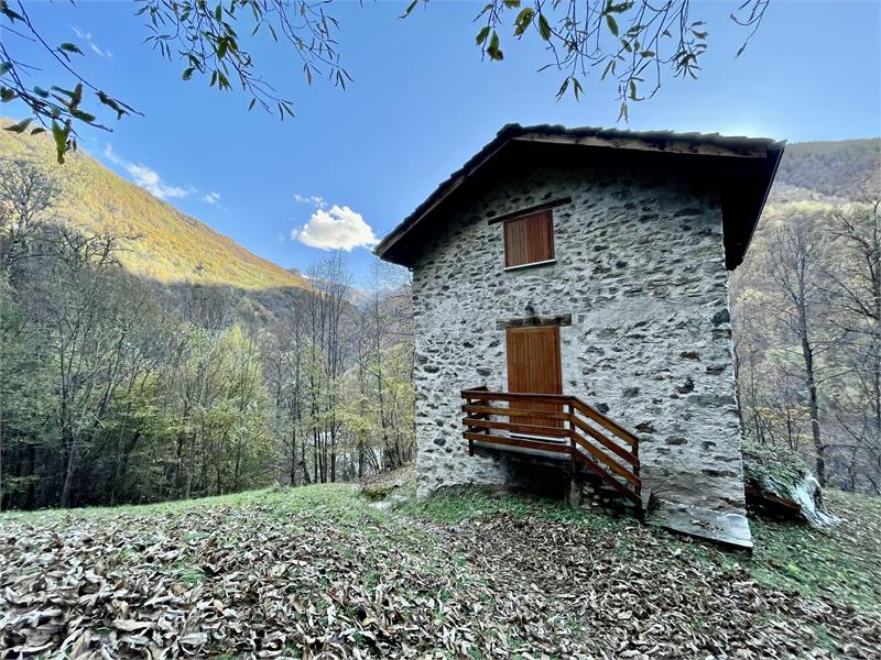 WHoW – La casa di legno nel bosco